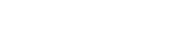 Maestro logo